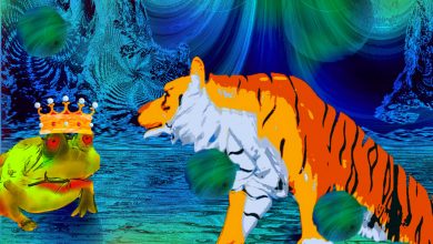 Photo of frog and tiger